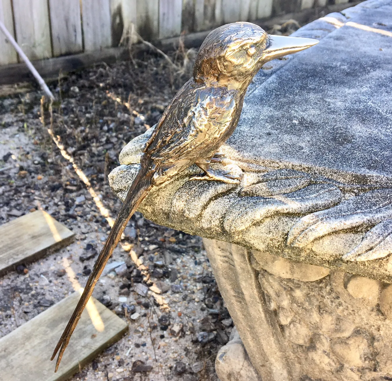 Buff Breasted Kingfisher